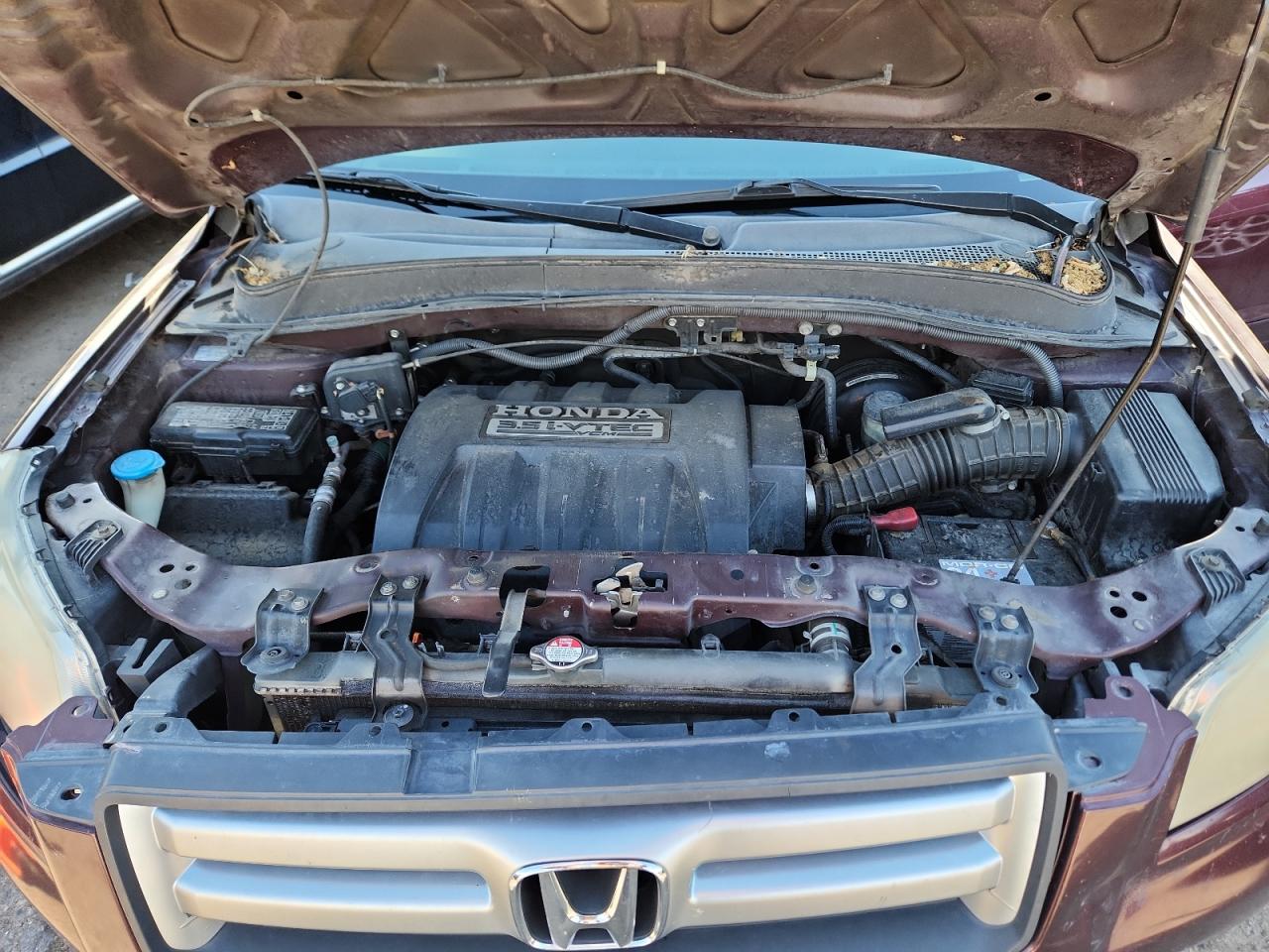 2007 Honda Pilot Ex VIN: 5FNYF28497B021400 Lot: 67851185