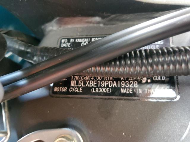 2023 KAWASAKI KLX300 E  