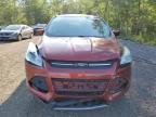 2015 FORD ESCAPE SE   for sale at Copart ON - COOKSTOWN