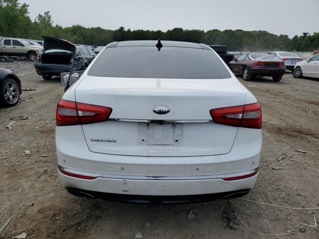 2014 Kia Cadenza Premium VIN: KNALN4D76E5125167 Lot: 67677955