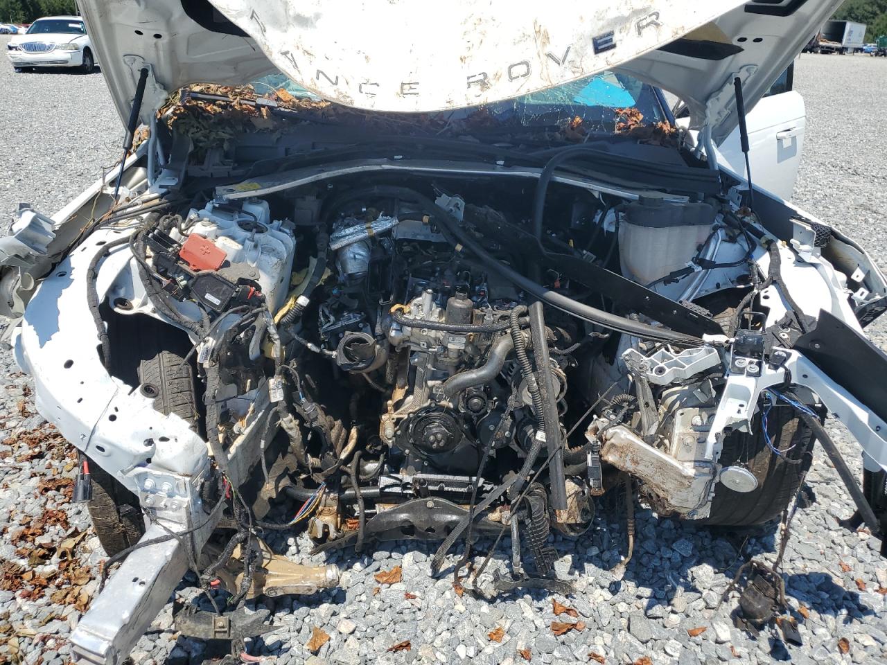 2024 Land Rover Range Rover Sport Dynamic Se VIN: SAL1L9FU6RA158269 Lot: 70456085