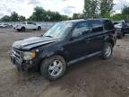 2011 FORD ESCAPE XLT   à vendre chez Copart ON - LONDON