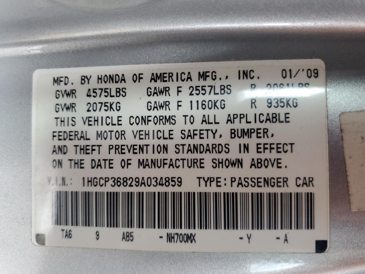 2009 Honda Accord Exl VIN: 1HGCP36829A034859 Lot: 67265885