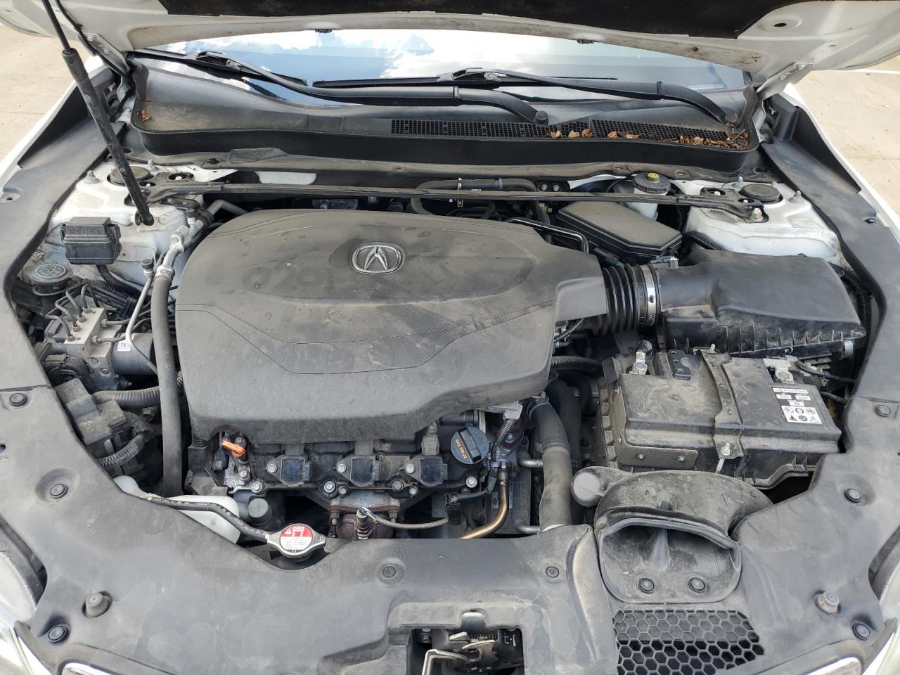 2015 Acura Tlx Tech VIN: 19UUB2F58FA015537 Lot: 69202345