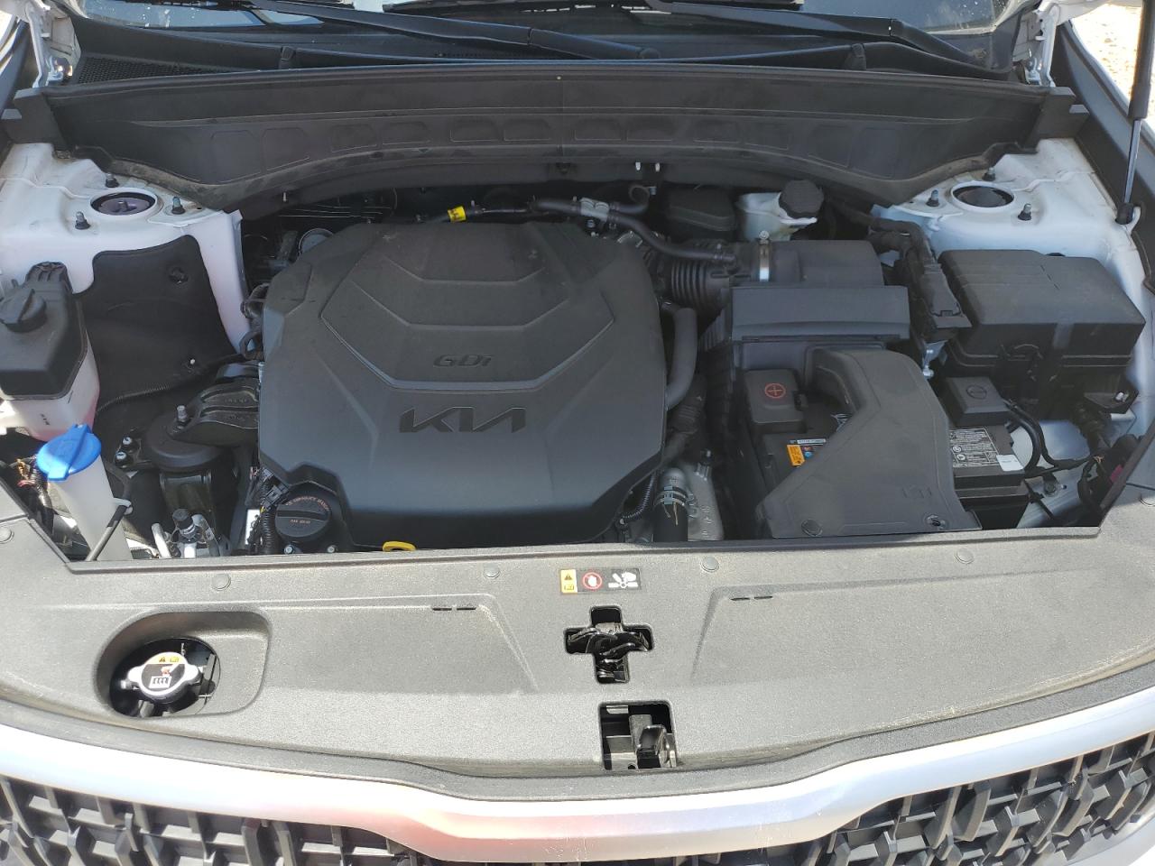 2024 Kia Telluride Ex VIN: 5XYP3DGC5RG491590 Lot: 67259165