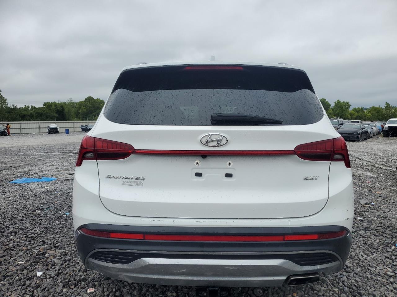 2022 Hyundai Santa Fe Limited VIN: 5NMS44AL6NH416431 Lot: 67617795