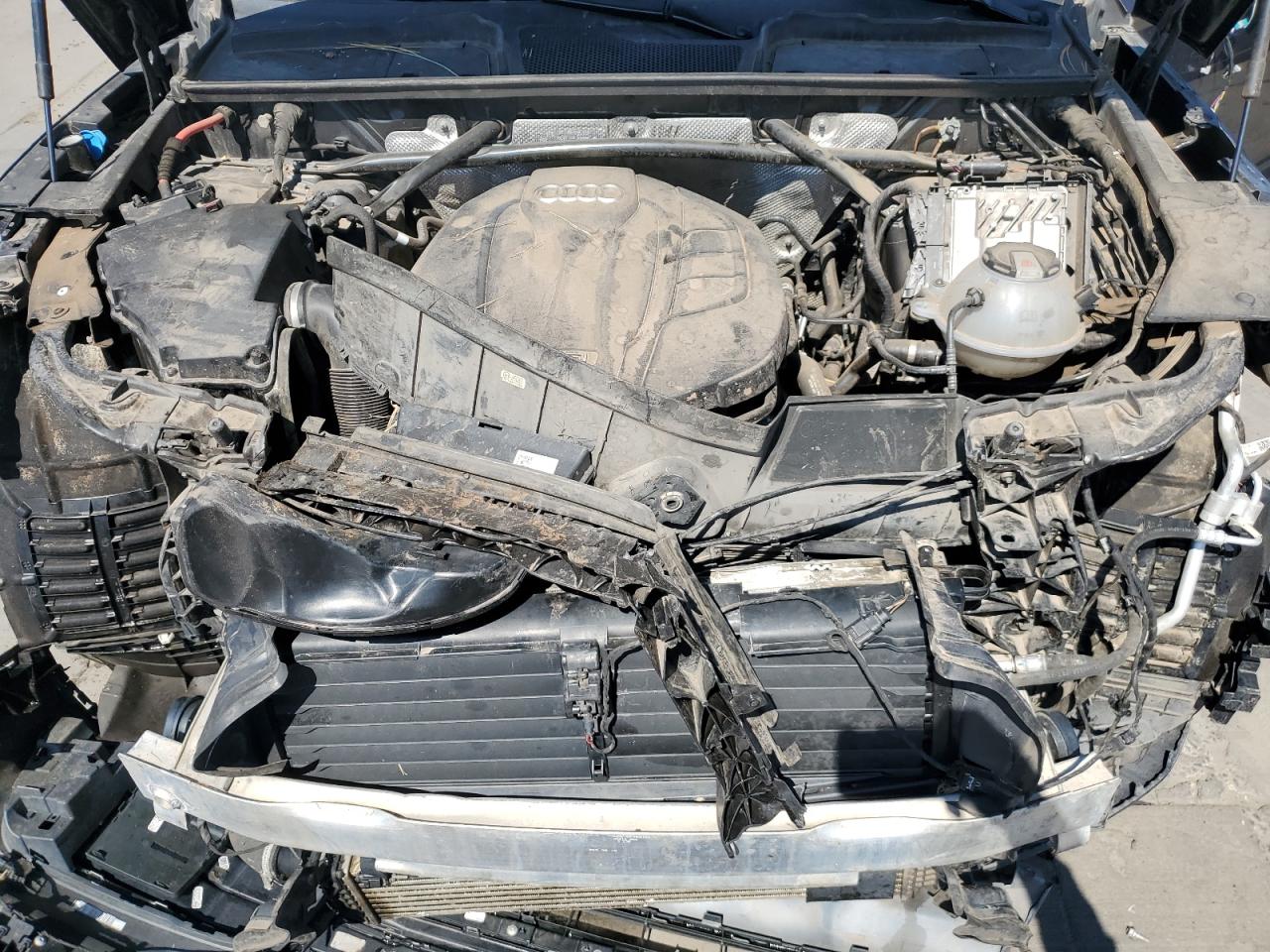 2019 Audi Q5 Premium Plus VIN: WA1BNAFY8K2096958 Lot: 68491685