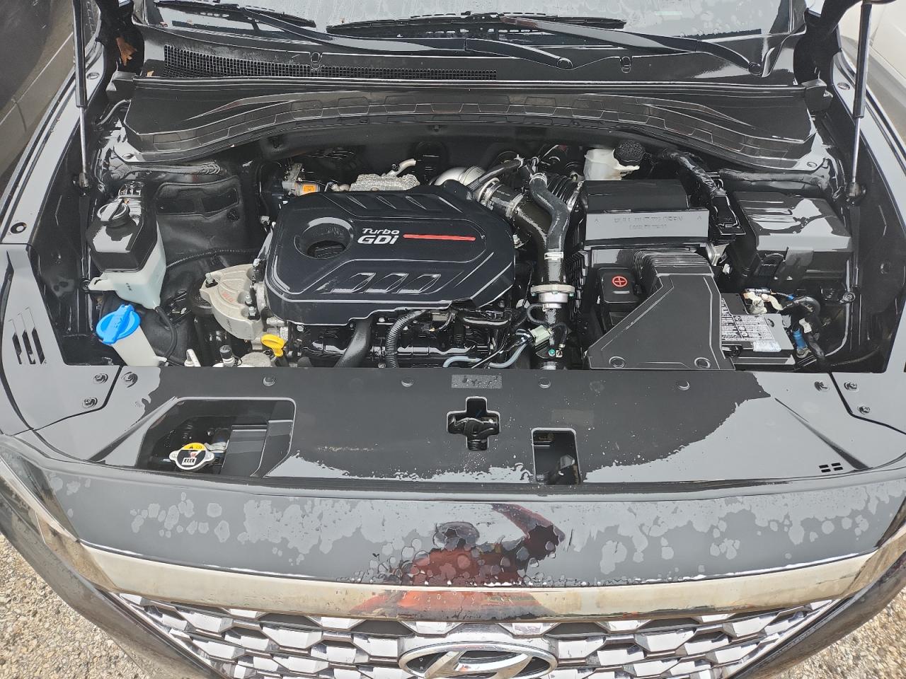 2020 Hyundai Santa Fe Limited VIN: 5NMS53AA0LH208113 Lot: 69074965