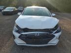 2019 HYUNDAI ELANTRA SE   à vendre chez Copart ON - COOKSTOWN