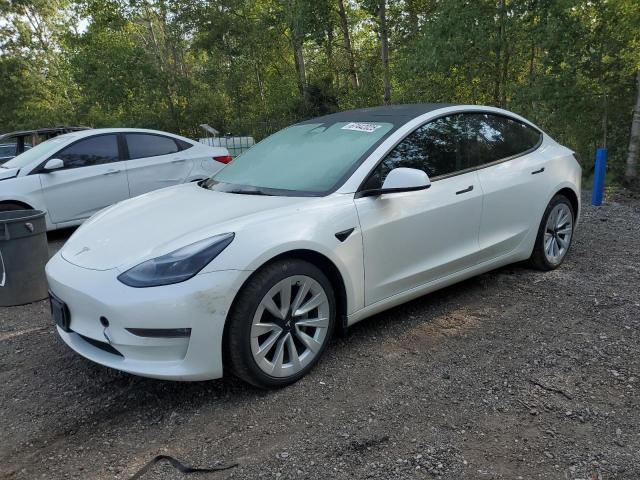 2022 TESLA MODEL 3    for sale at Copart ON - COOKSTOWN