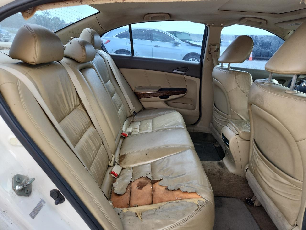 2010 Honda Accord Exl VIN: 1HGCP2F81AA147250 Lot: 69950205