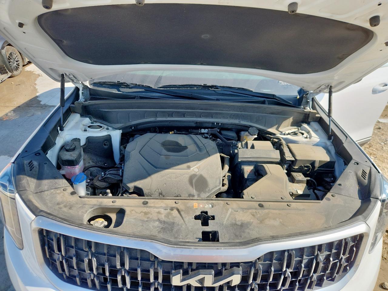 2023 Kia Telluride Ex VIN: 5XYP34GC6PG401456 Lot: 69363965