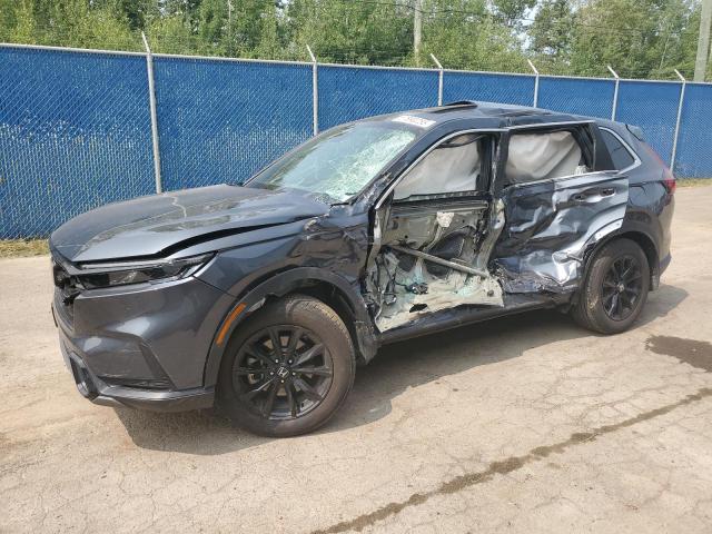 2025 HONDA CR-V EXL   for sale at Copart NB - MONCTON