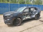 2025 HONDA CR-V EXL   for sale at Copart NB - MONCTON