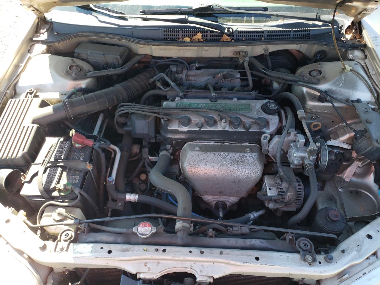 2000 Honda Accord Lx VIN: 1HGCG6650YA089106 Lot: 69727335