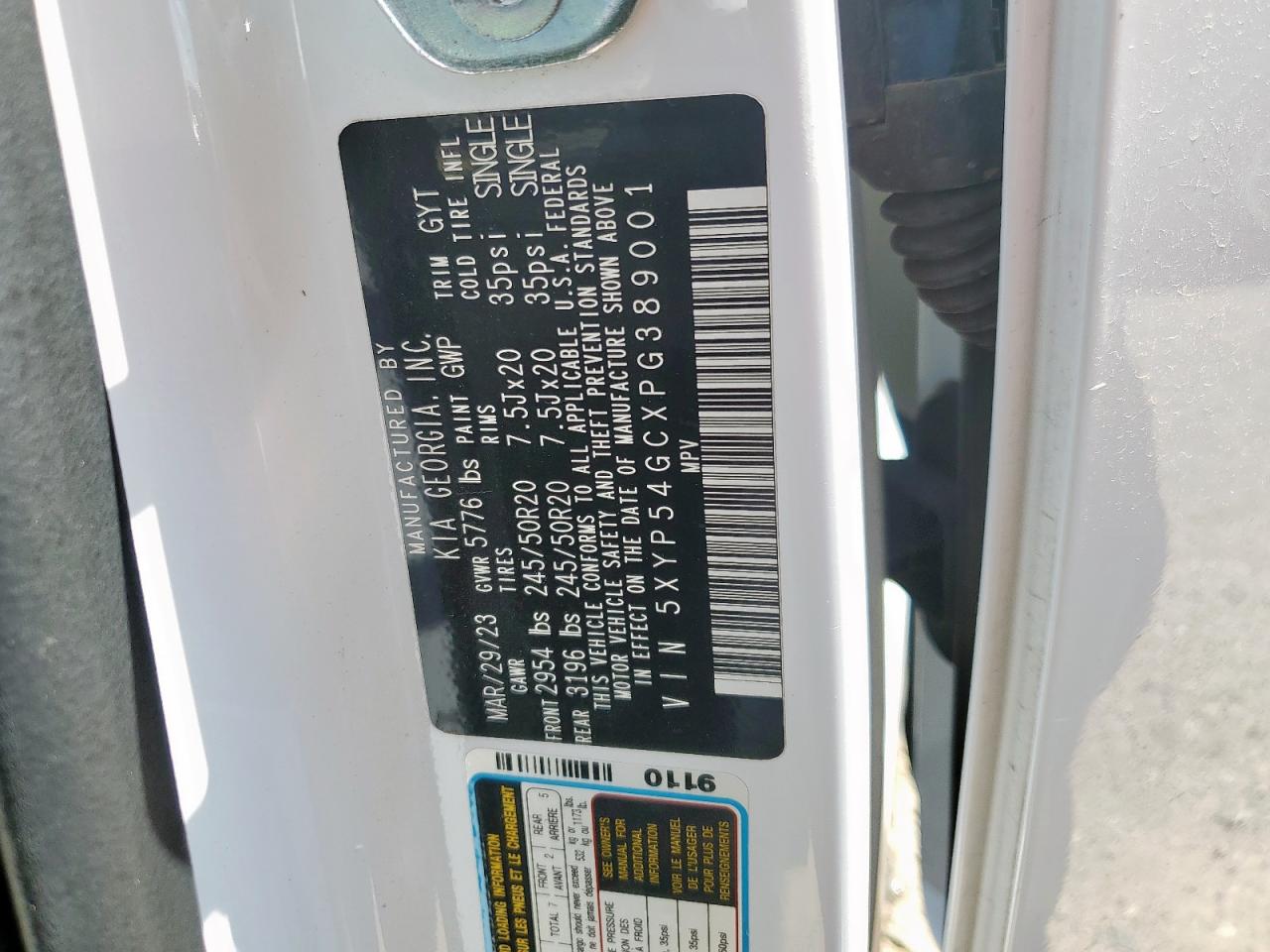 2023 Kia Telluride Sx VIN: 5XYP54GCXPG389001 Lot: 69572625