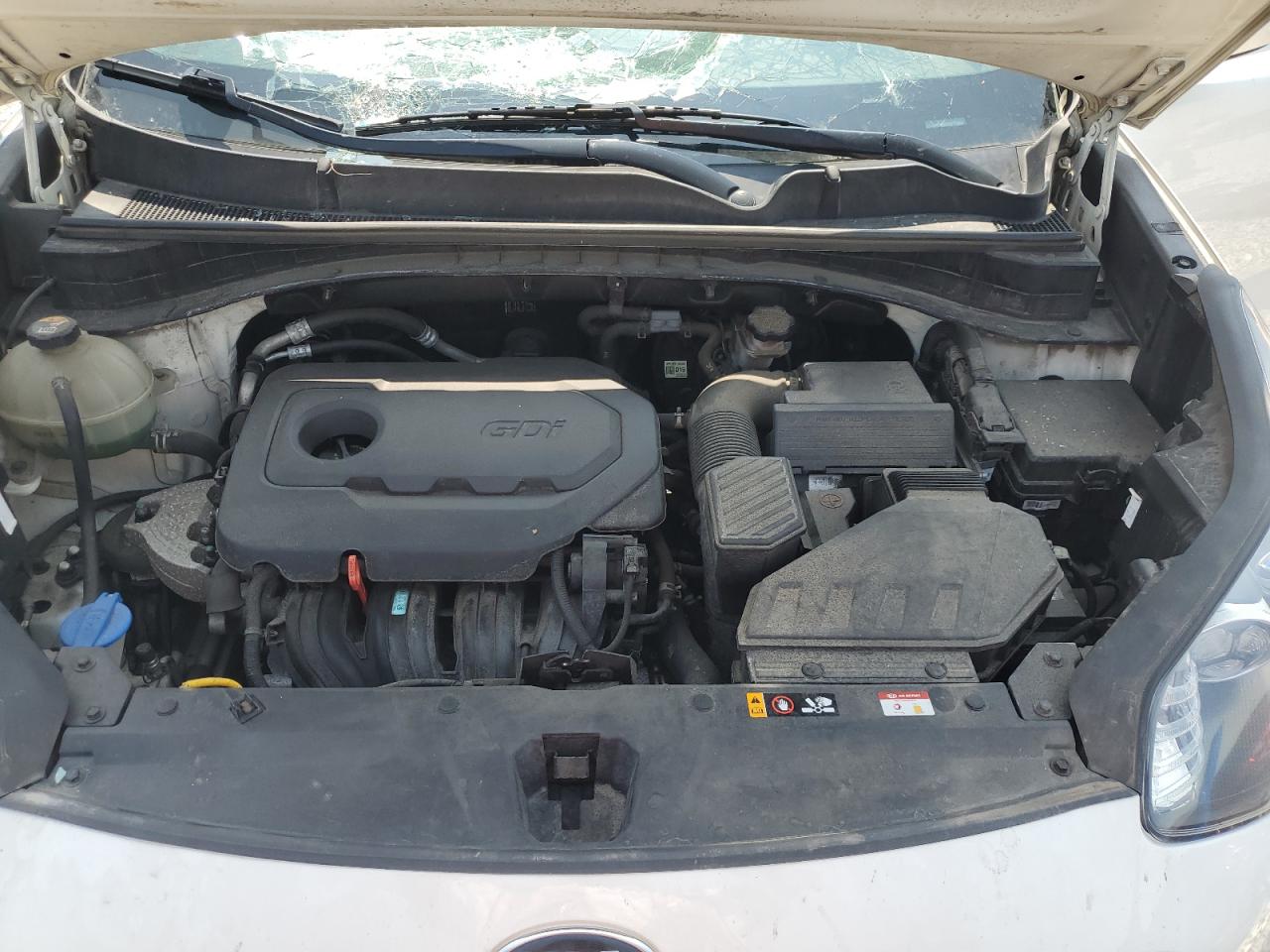 2020 Kia Sportage Lx VIN: KNDPMCAC9L7776524 Lot: 67083055