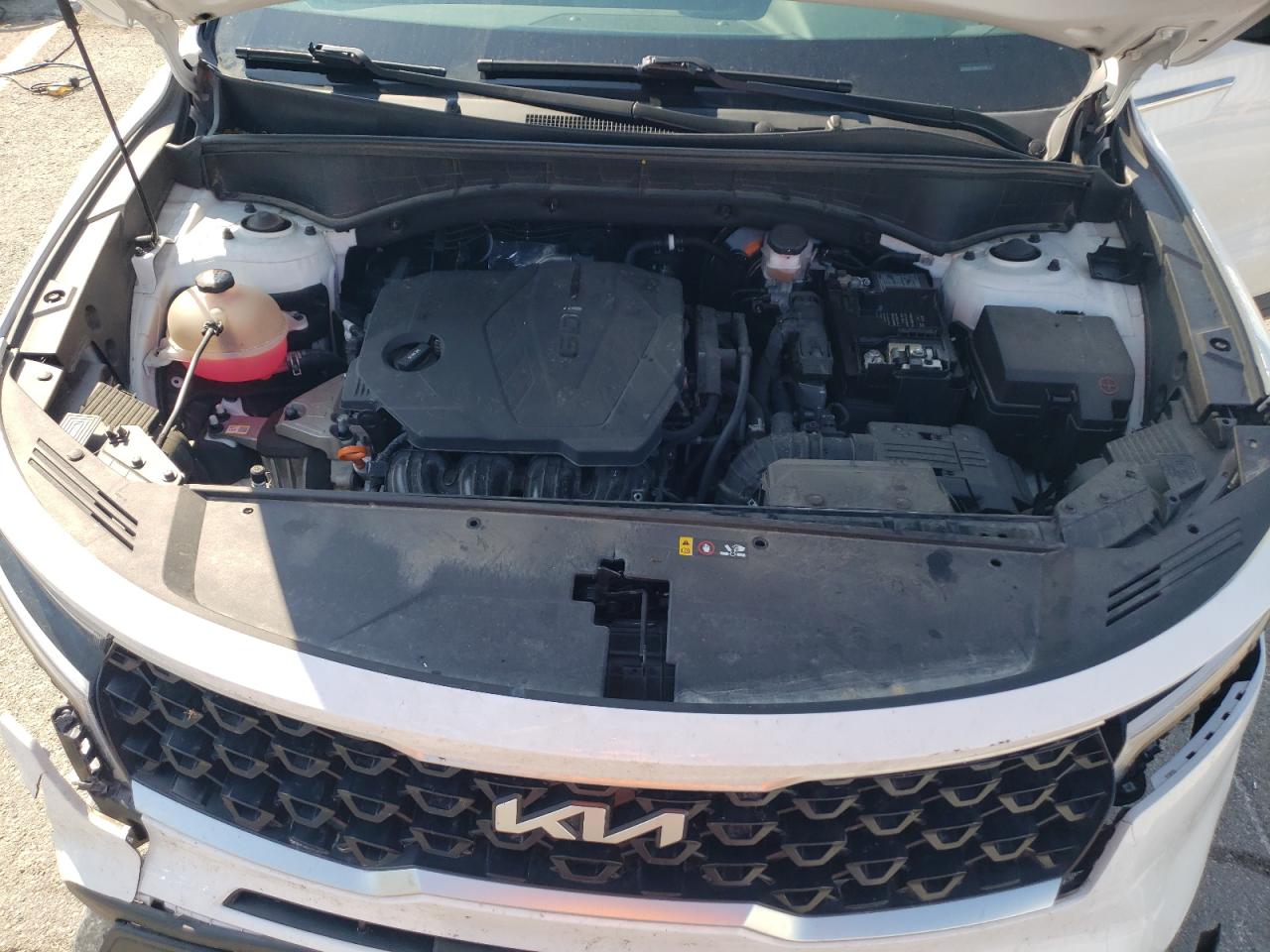 2022 Kia Sorento Lx VIN: 5XYRG4LC8NG131646 Lot: 68883235