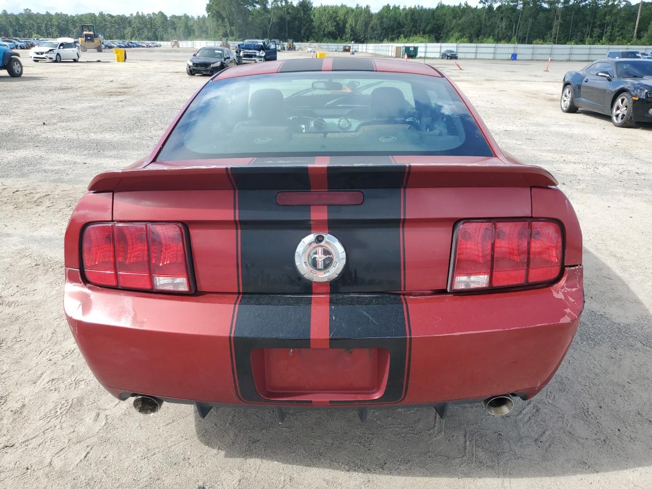 2008 Ford Mustang VIN: 1ZVHT80N285103890 Lot: 68451155