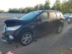 2018 FORD ESCAPE SEL   à vendre chez Copart ON - COOKSTOWN