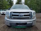 2013 FORD F150 SUPER CAB   à vendre chez Copart ON - COOKSTOWN