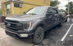 2023 FORD F150 SUPERCREW   à vendre chez Copart ON - OTTAWA