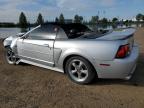 2001 FORD MUSTANG GT   for sale at Copart AB - CALGARY