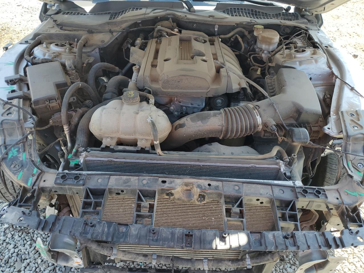 2020 Ford Mustang VIN: 1FA6P8TH8L5132281 Lot: 68915265