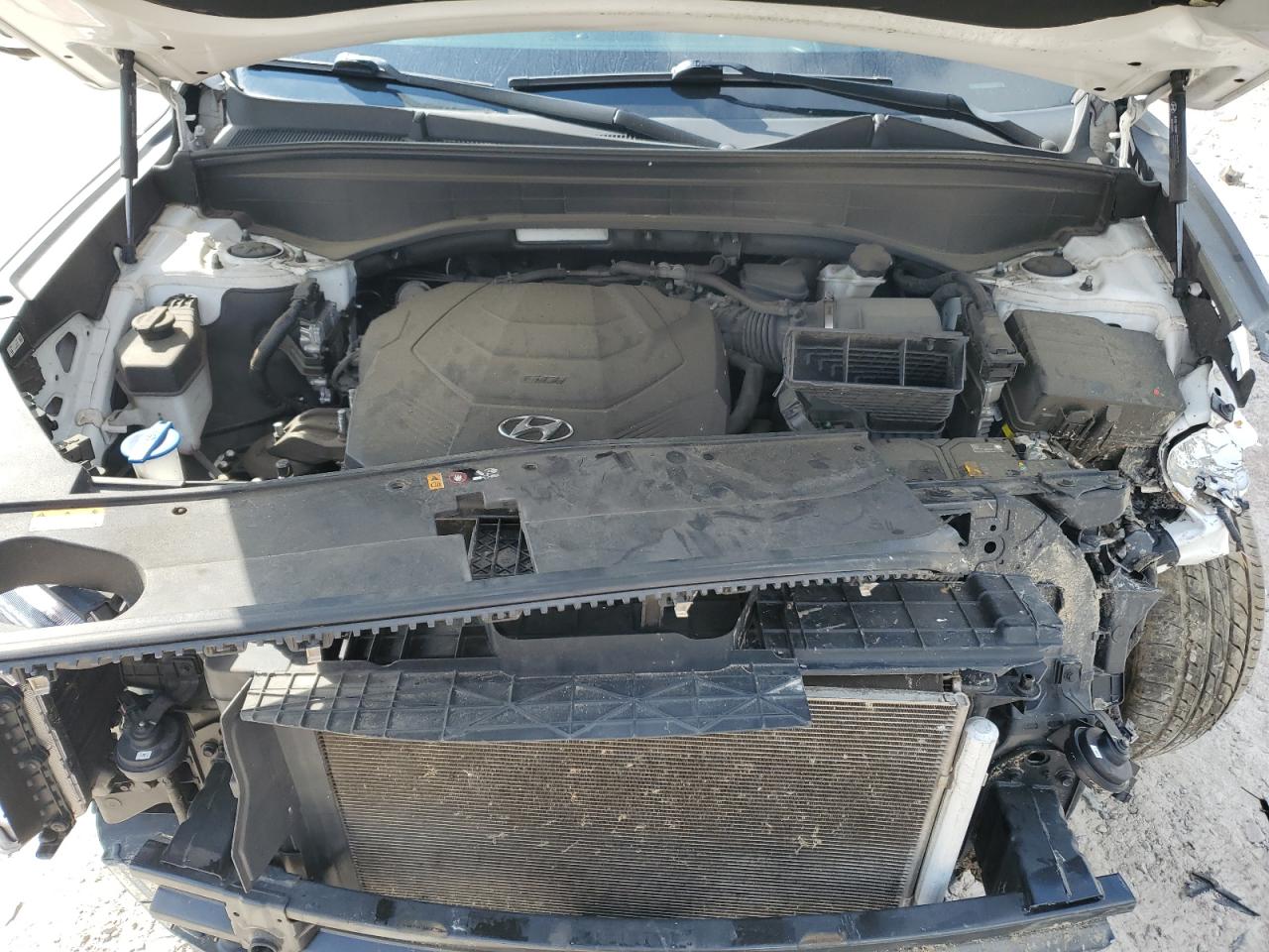 2021 Hyundai Palisade Calligraphy VIN: KM8R7DHE0MU201921 Lot: 68283865