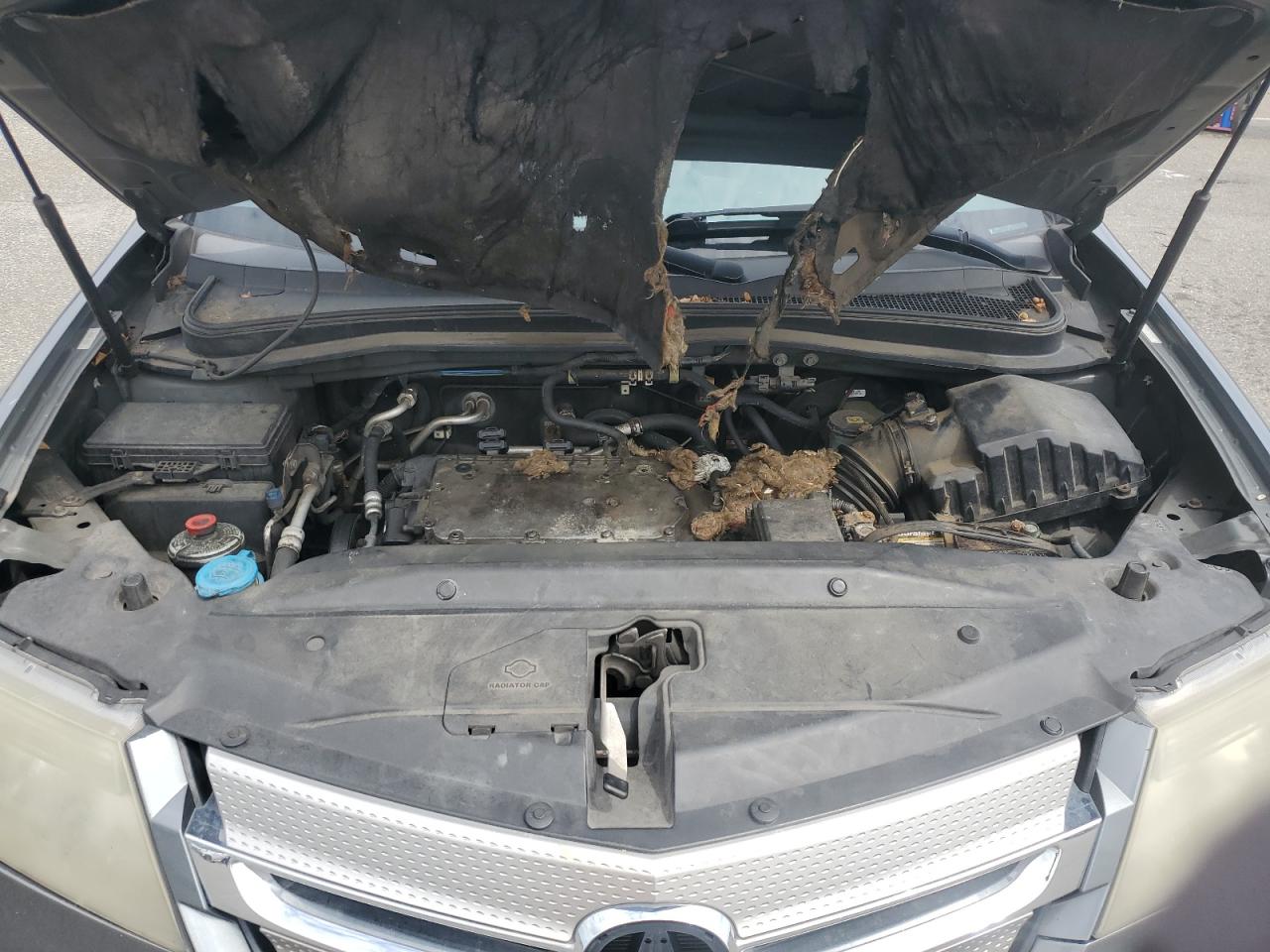 2008 Acura Mdx VIN: 2HNYD28248H530059 Lot: 84551805