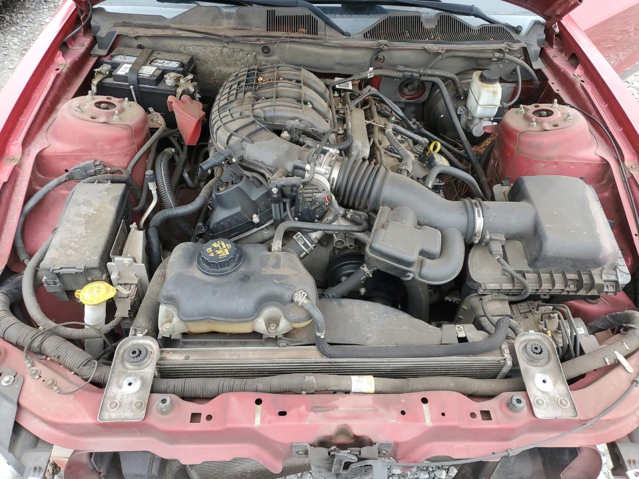 2011 Ford Mustang VIN: 1ZVBP8AMXB5130200 Lot: 66165825