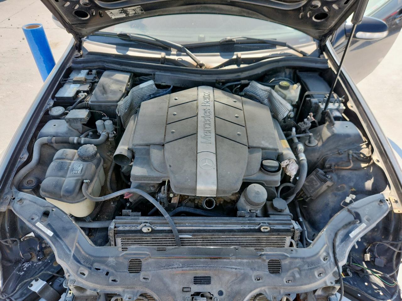 2001 Mercedes-Benz Slk 320 VIN: WDBKK65F61F221506 Lot: 67690165