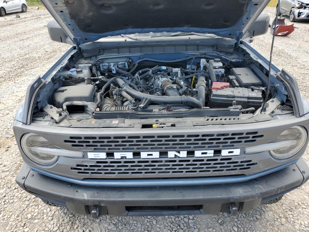 2024 Ford Bronco Badlands VIN: 1FMEE9BP6RLA06656 Lot: 69173275