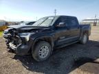 2023 TOYOTA TUNDRA CREWMAX SR   à vendre chez Copart AB - EDMONTON