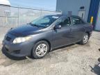 2009 TOYOTA COROLLA BASE   for sale at Copart NS - HALIFAX