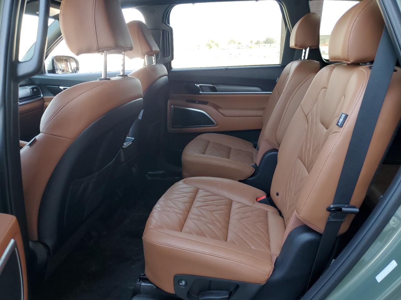 2024 Kia Telluride Sx VIN: 5XYP5DGC5RG514487 Lot: 70185155