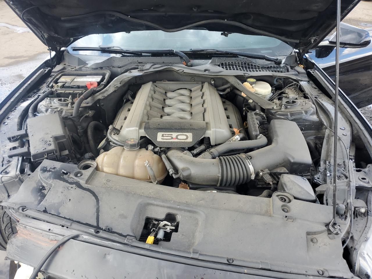 2015 Ford Mustang Gt VIN: 1FA6P8CF1F5407878 Lot: 70262465