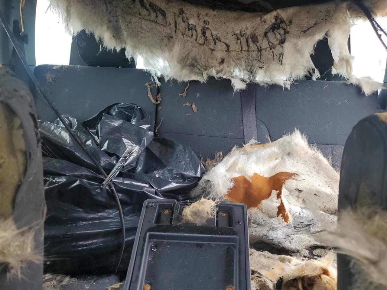 2012 Jeep Liberty Sport VIN: 1C4PJLAK2CW104794 Lot: 70575565