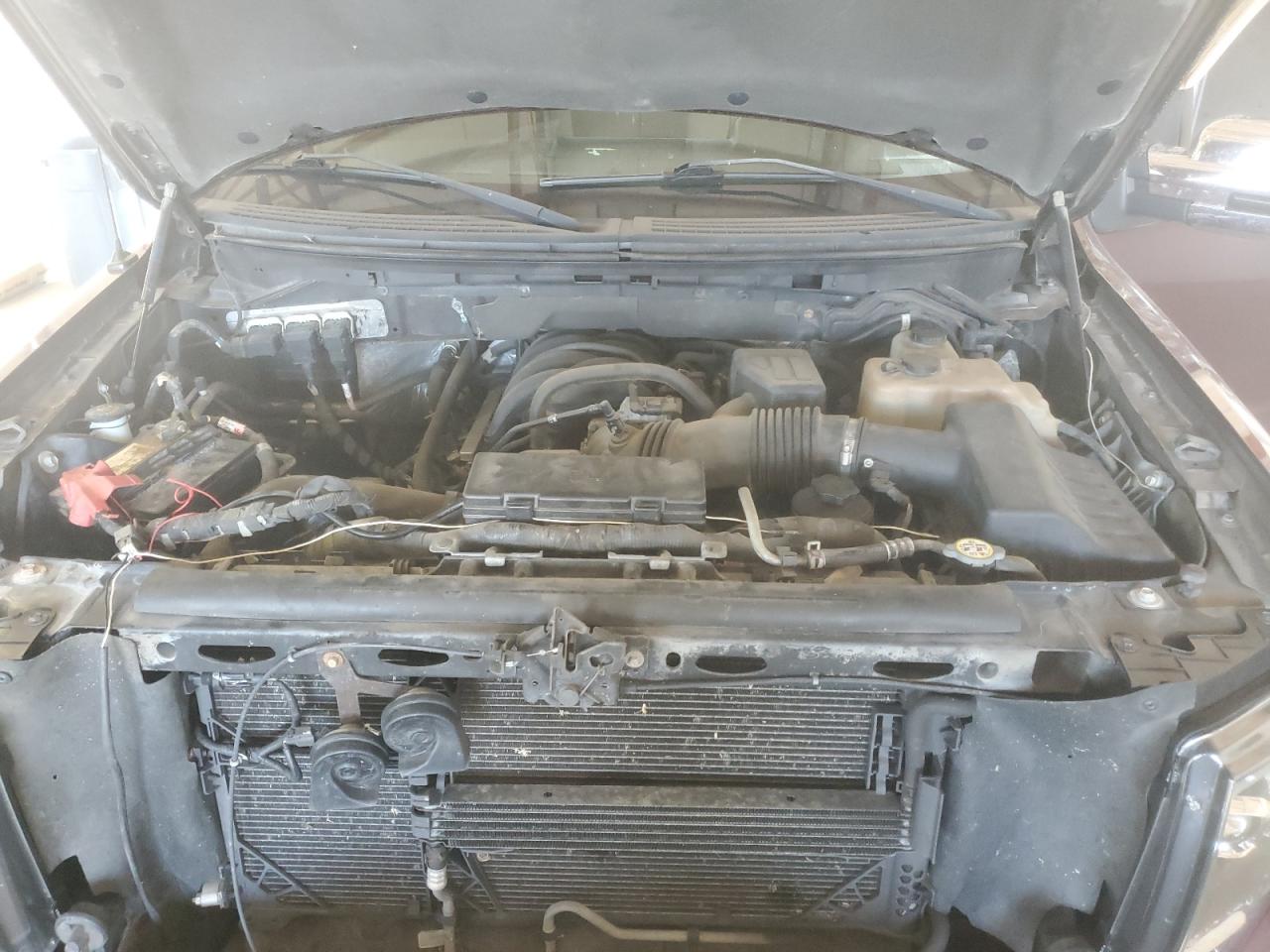 2010 Ford F150 Supercrew VIN: 1FTEW1E81AFA51966 Lot: 70913445