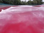 2024 MG 3 TROPHY H for sale at Copart WOLVERHAMPTON