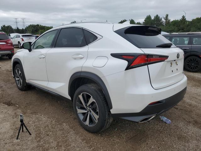  LEXUS NX 2021 Белы