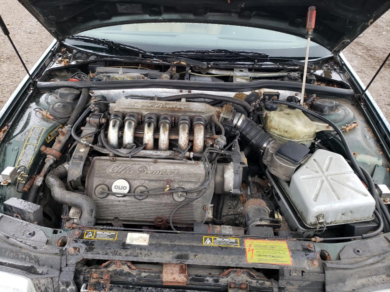 1991 Alfa Romeo 164 L VIN: ZAREA33L9M6207778 Lot: 69521875