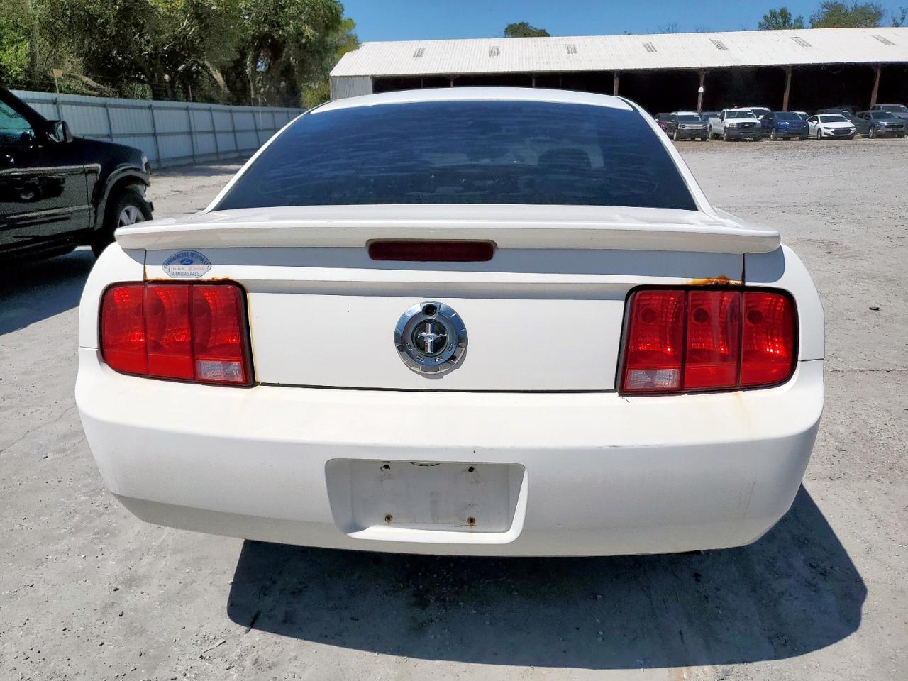 2008 Ford Mustang VIN: 1ZVHT80N085120154 Lot: 69615525