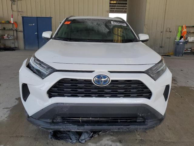  TOYOTA RAV4 2024 Белы
