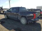 2023 TOYOTA TUNDRA CREWMAX SR   à vendre chez Copart AB - EDMONTON