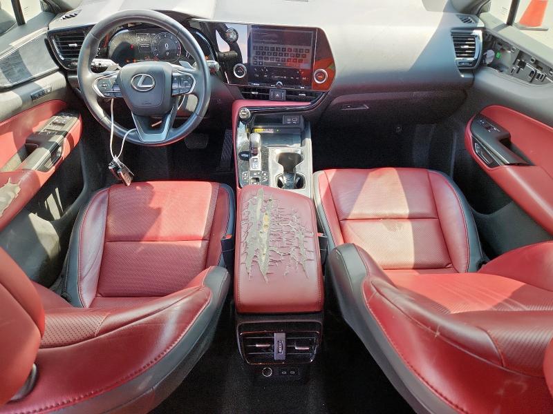 2023 LEXUS NX 350  