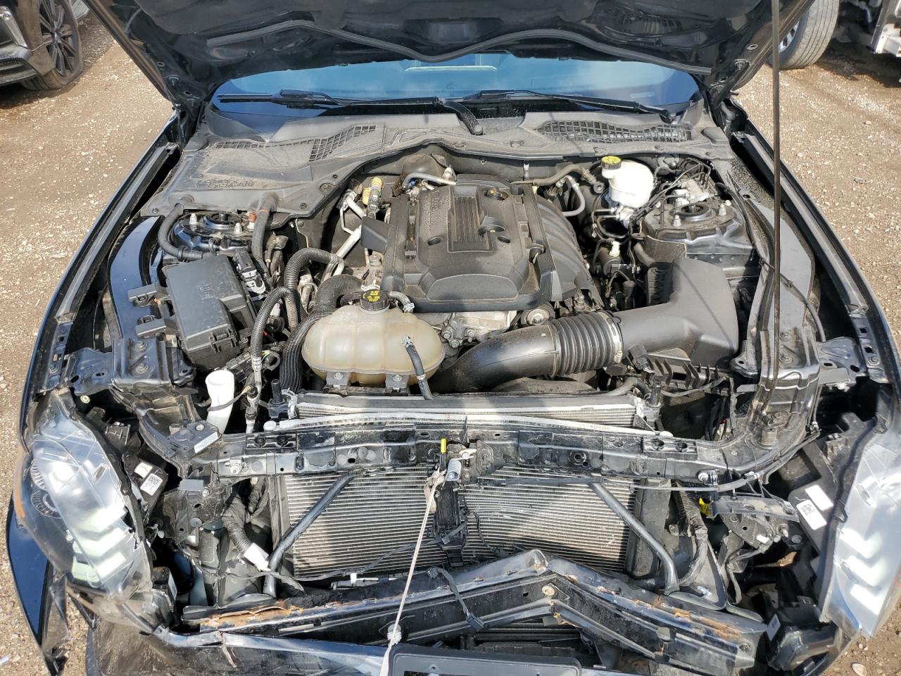 2019 Ford Mustang VIN: 1FA6P8TH4K5201028 Lot: 68026735