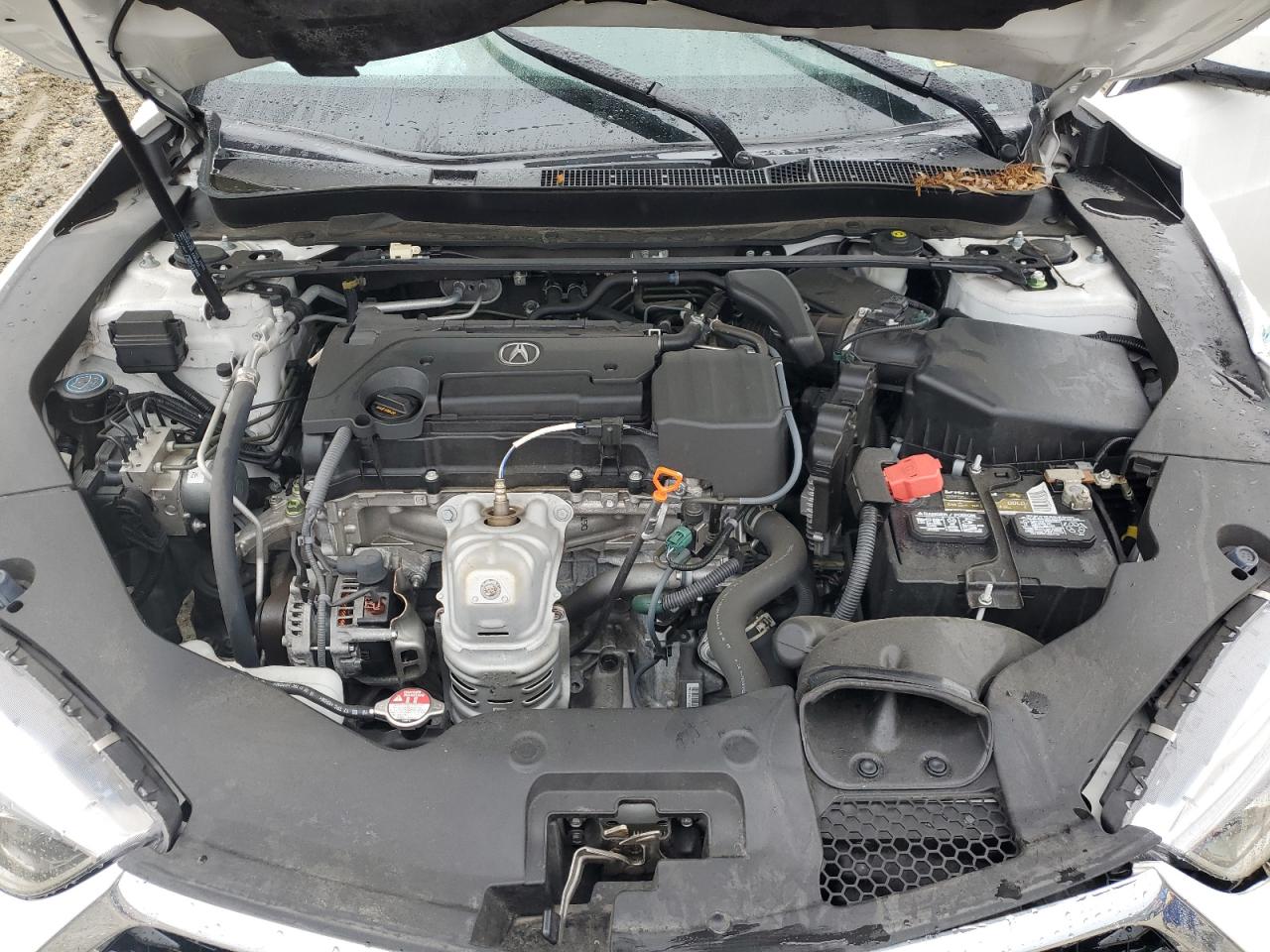 2020 Acura Tlx Technology VIN: 19UUB1F51LA000139 Lot: 69641915