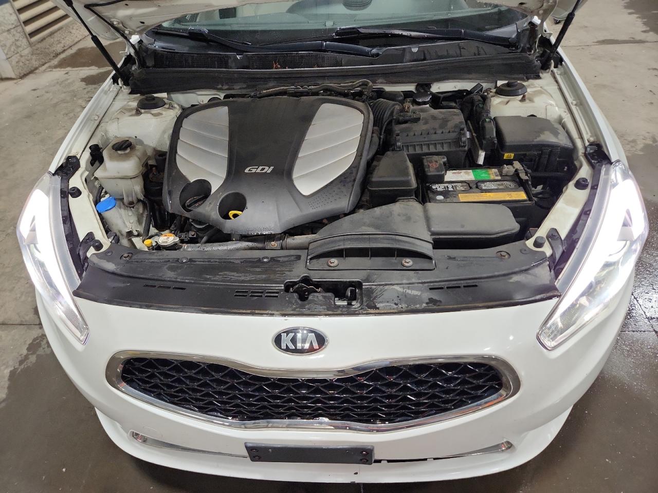 2014 Kia Cadenza Premium VIN: KNALN4D79E5143968 Lot: 67599845