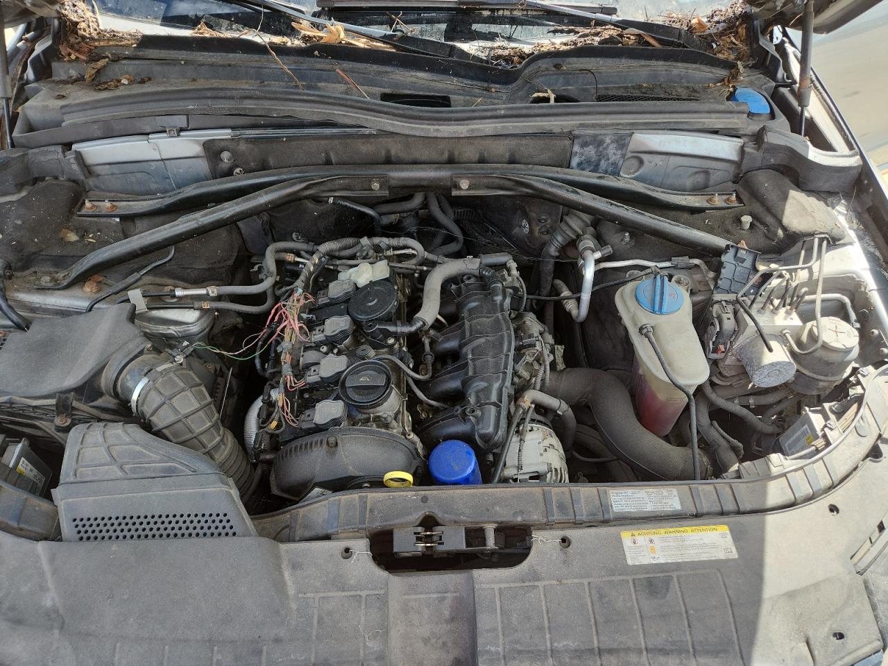 2011 Audi Q5 Premium Plus VIN: WA1LFAFP7BA036698 Lot: 70275915